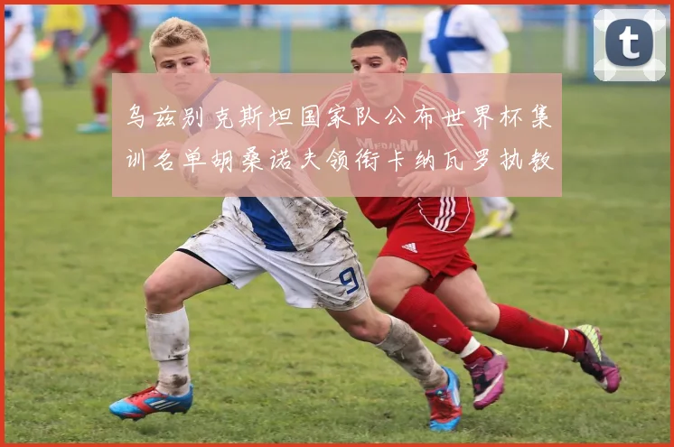 乌兹别克斯坦国家队公布世界杯集训名单胡桑诺夫领衔卡纳瓦罗执教