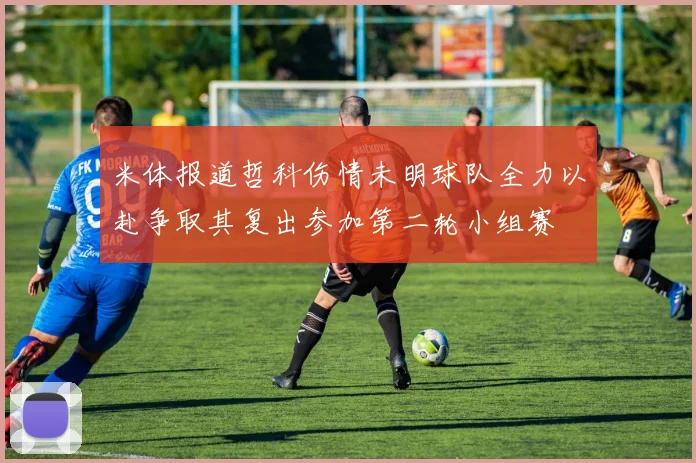 米体报道哲科伤情未明球队全力以赴争取其复出参加第二轮小组赛