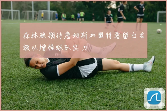 森林狼期待詹姆斯加盟特意留出名额以增强球队实力