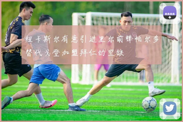 纽卡斯尔有意引进里尔前锋帕尔多替代戈登加盟拜仁的空缺